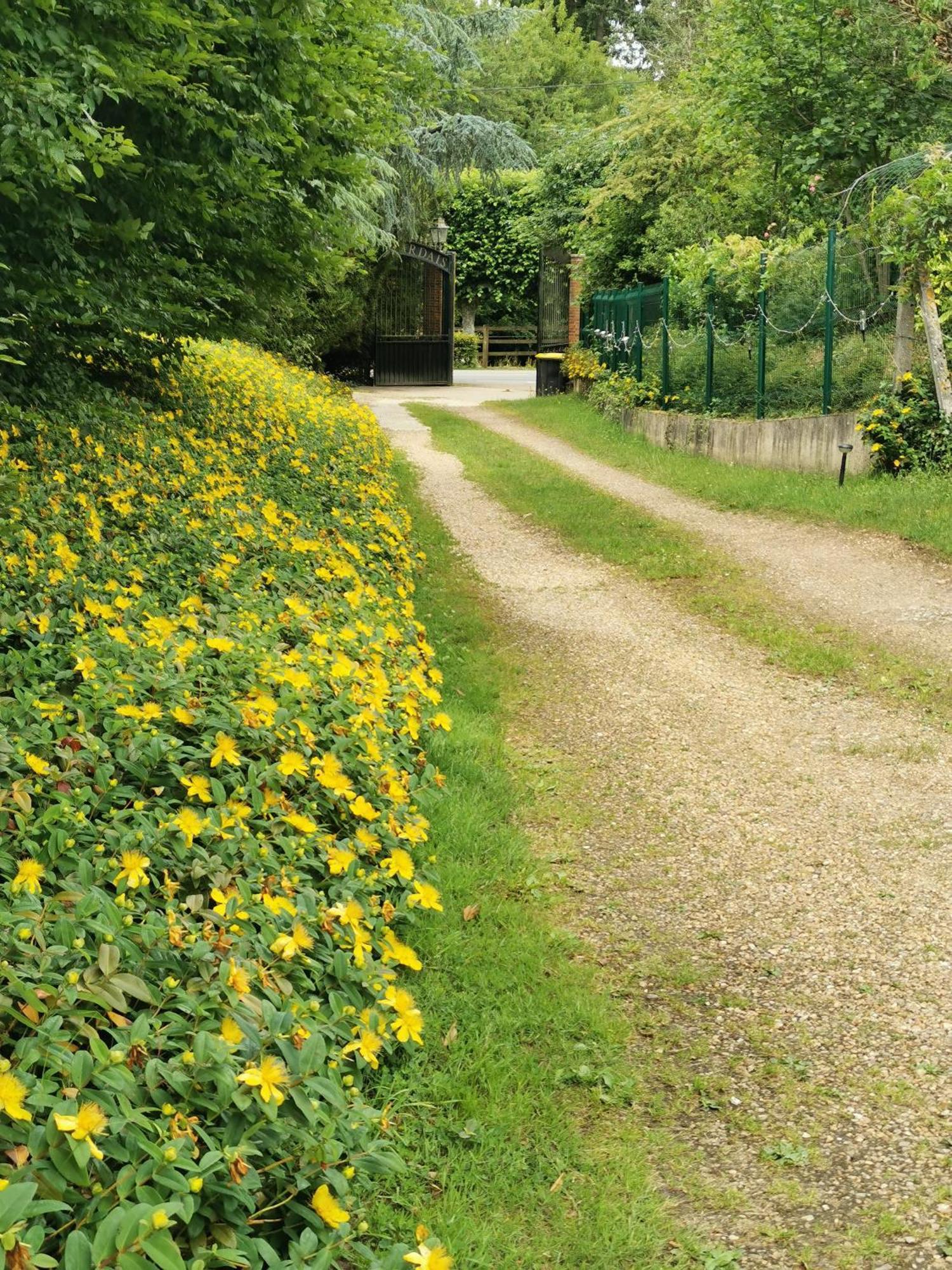 Domaine De Tardais, Ideal Famille Avec Piscine Et Nombreux Loisirs Senonches Zewnętrze zdjęcie